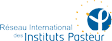 Institut Pasteur